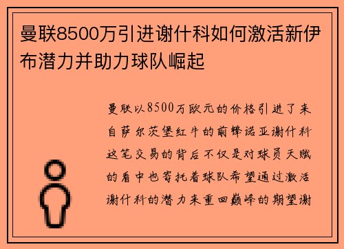 曼联8500万引进谢什科如何激活新伊布潜力并助力球队崛起